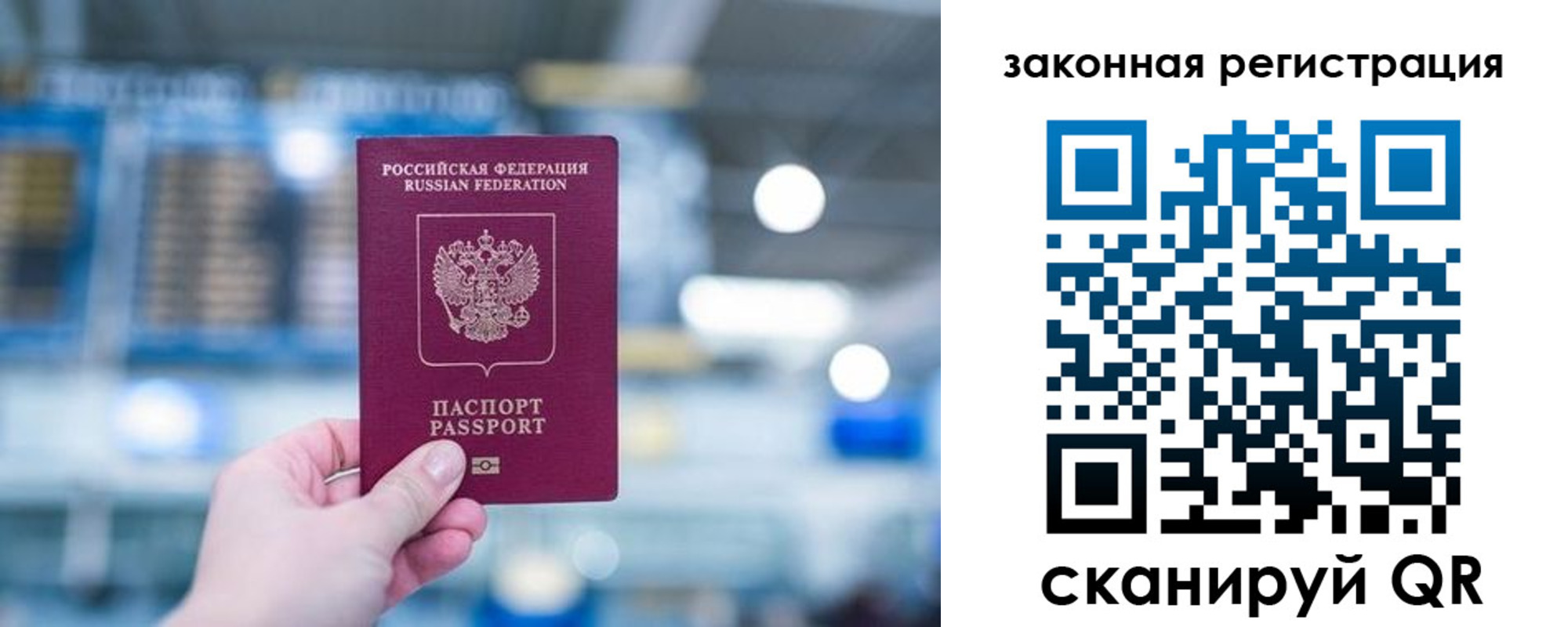 прописка поиск в Дубовке